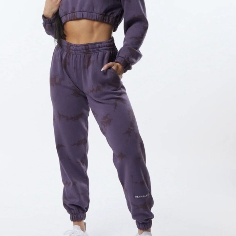 Alphalete HCTS Jogger | Unisex Small| Revolution